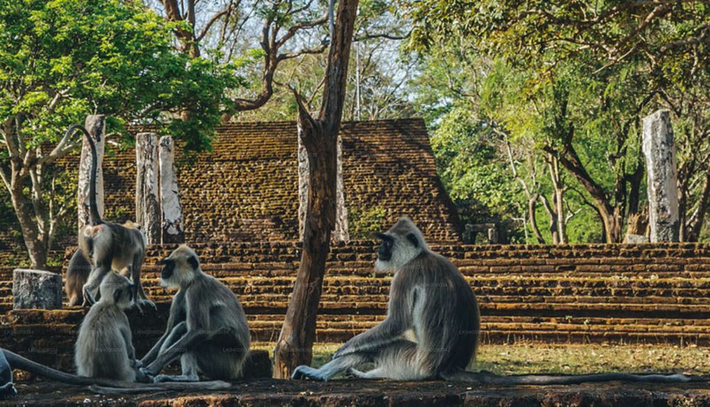 Blend of diverse wildlife, ancient kingdoms and the cool hill country