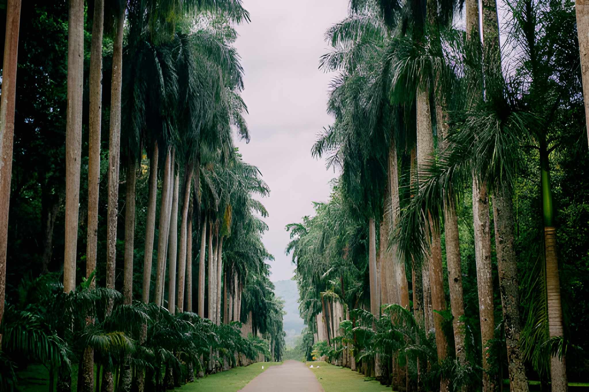 Royal Gardens & Scenic Train